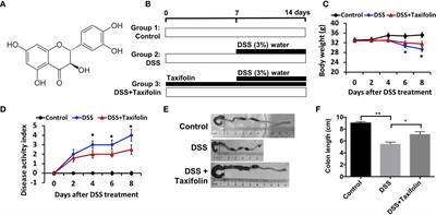 Dietary Taxifolin Protects Against Dextran Sulfate Sodium-Induced Colitis via NF-κB Signaling, Enhancing Intestinal Barrier and Modulating Gut Microbiota